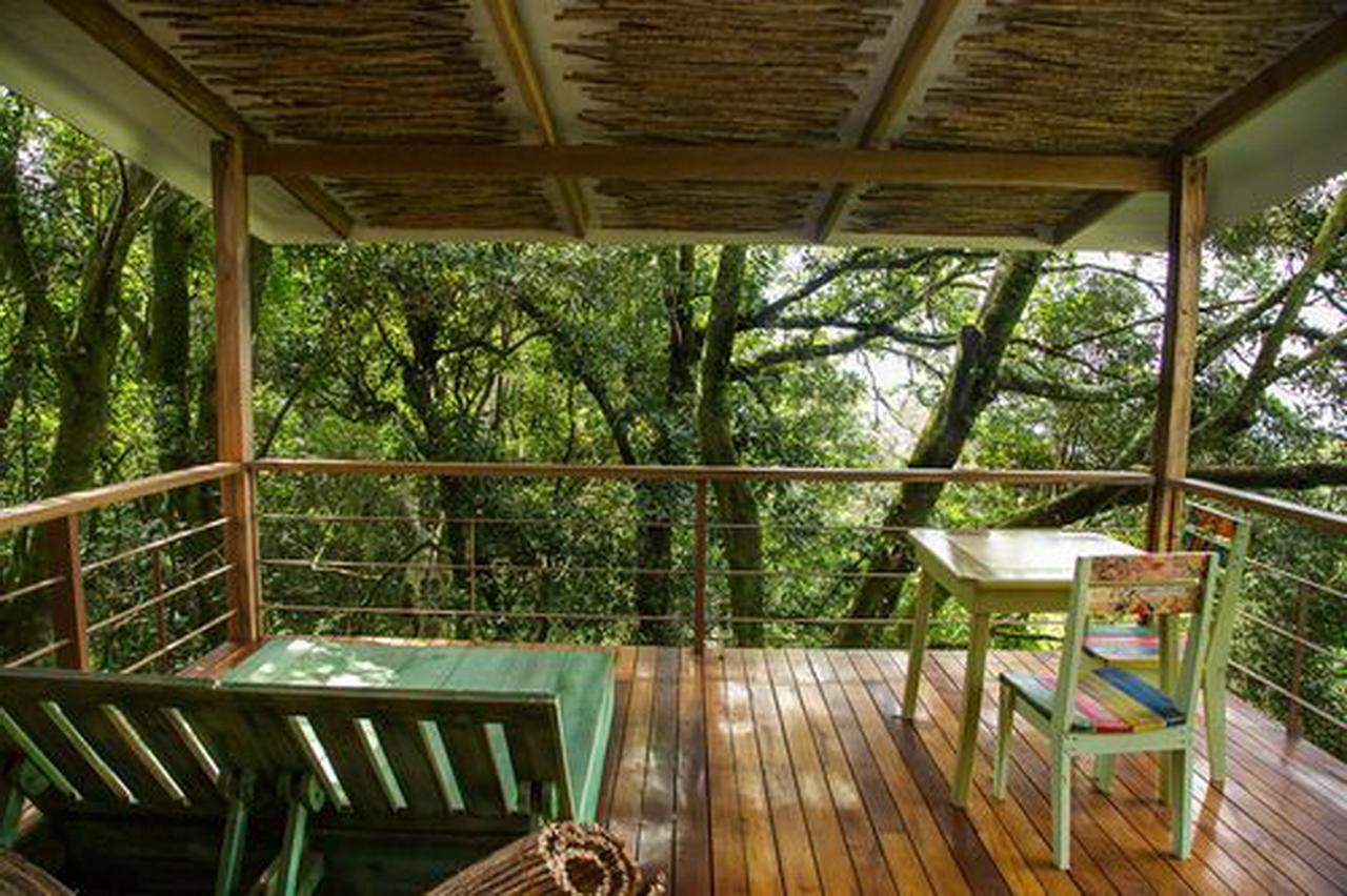 Chayote Lodge Zarcero Dış mekan fotoğraf